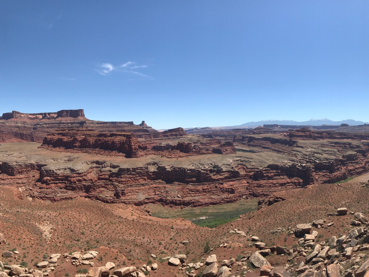 There’s Treasure in Them Thar&nbsp;Hills!